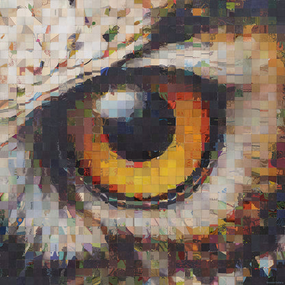 Soulmirror #11 Framed